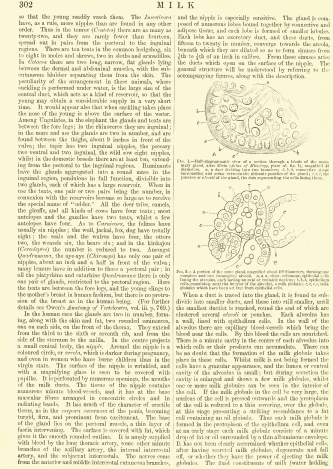 Encyclopedia Britannica 9th Edition Page 5