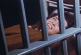 The Terrible Truth 1951 3 anti drug reefer madness anti marijuana drug education films movie download