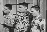 4 juvenile delinquent anti drug reefer madness anti marijuana drug education films movie download