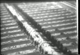 Nazi Concentration Camps 1945 archived film footage movie download 12