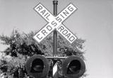 Vintage Railroad History Films Movie Download 35