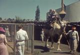 1939 New York Worlds Fair Medicus movie download 8
