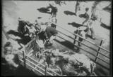 06 World War II WWII Newsreel Footage Collection Movie Download