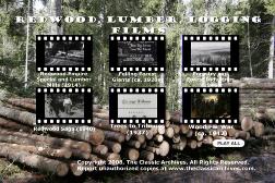 forestry logging lumberjack films movie download 18