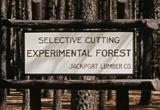 forestry logging lumberjack films movie download 14