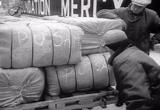 Relief Supplies for Korea (1950) Korean War Propaganda and Historic Films movie download 23
