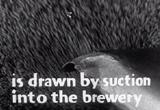 Beer History films movie download 12
