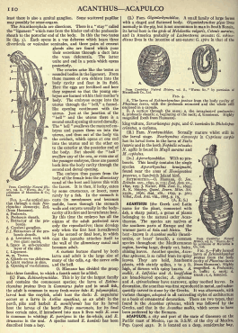 Encyclopedia Britannica 11th Edition Page 2