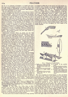 Encyclopedia Britannica 11th Edition Page 5