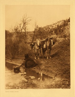 Edward Curtis American Indian Art Sample Horse Lake