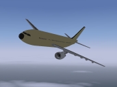 Flight Simulator Plane