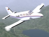 Flight Simulator Plane