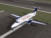 Flight Simulator Plane