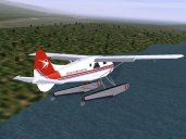 Flight Simulator Plane