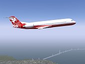 Flight Simulator Plane