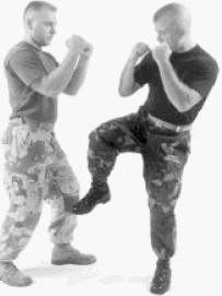 US Army Self Defense Course